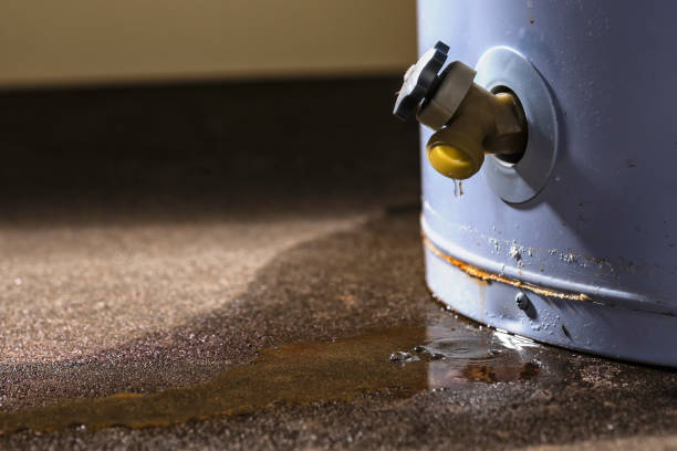 Best Water damage contractors near me  in Benton, LA