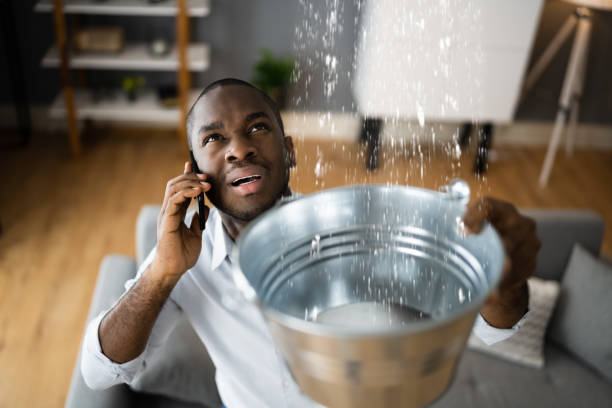 Best Emergency water extraction  in Benton, LA