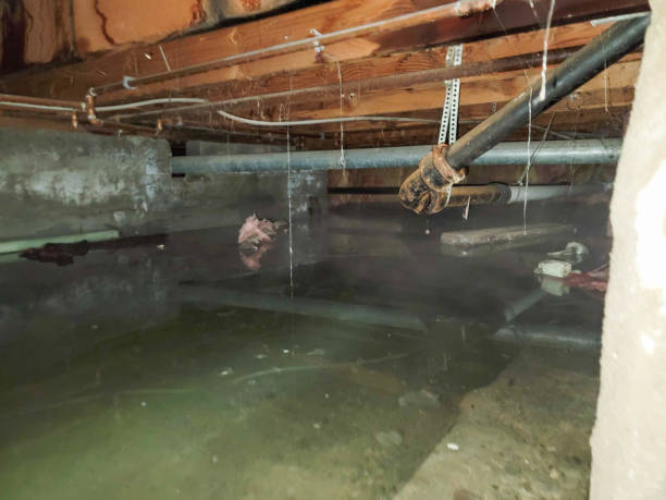 Best Water damage restoration insurance claims  in Benton, LA