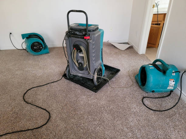 Best Water damage restoration specialists  in Benton, LA