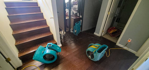 Best Professional water damage repair  in Benton, LA