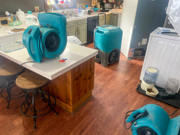Best Mold removal after water damage  in Benton, LA
