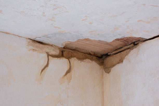 Best Fire Damage Restoration  in Benton, LA
