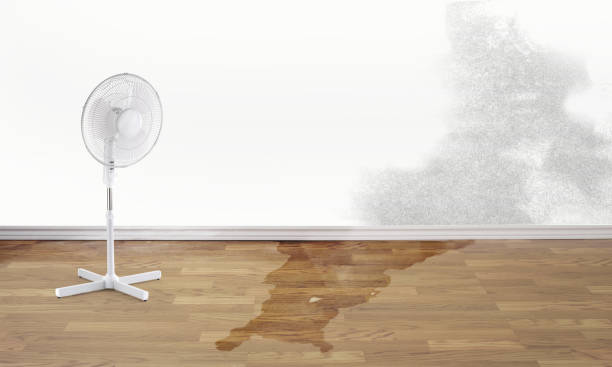 Benton, LA Water damage restoration Company