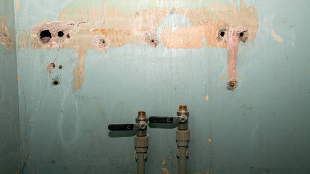 Best Flood damage cleanup  in Benton, LA