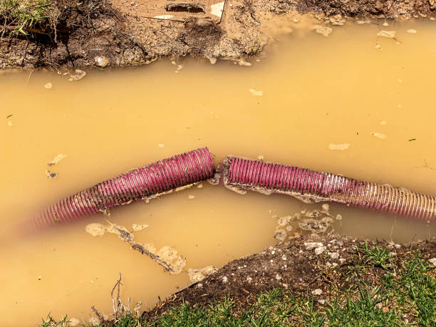 Water damage restoration insurance claims in Benton, LA