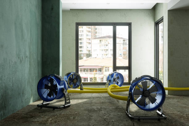 Best Water damage restoration near me  in Benton, LA
